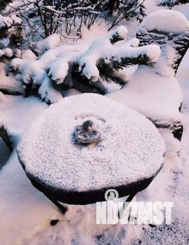 Дом 25м², 1-этажный, посуточно,