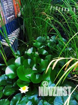 Дом 45м², 2-этажный, посуточно,