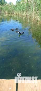 Дом 90м², 2-этажный, посуточно,