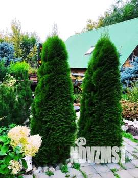 Дом 25м², 1-этажный, посуточно,