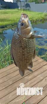 Дом 90м², 2-этажный, посуточно,