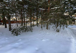 Дом 290м², 2-этажный, на длительный срок,