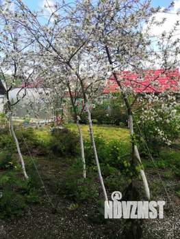 Дача 100м², 2-этажный, участок 4 сот.