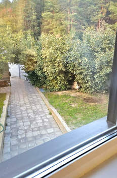 Дом 50м², 1-этажный, участок 5 сот.