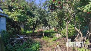 Дача 45м², 1-этажный, участок 6 сот.