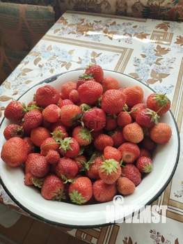 Дом 35м², 2-этажный, участок 5 сот.