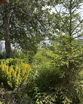 Дача 30м², 2-этажный, участок 5 сот.