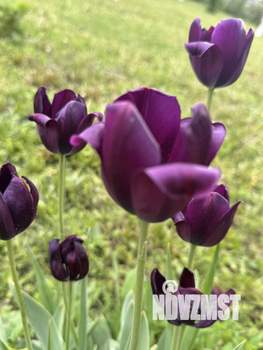 Коттедж 270м², 2-этажный, участок 12 сот.