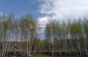 Дом 150м², 1-этажный, участок 5 сот.