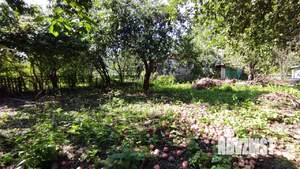 Дача 45м², 1-этажный, участок 6 сот.