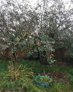 Дом 26м², 1-этажный, участок 0 сот.