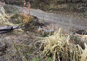 Дача 19м², 1-этажный, участок 4 сот.