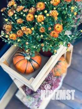 Дом 35м&sup2;, 2-этажный, посуточно, 