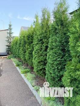 Дом 25м², 1-этажный, посуточно, 