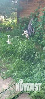 Дом 100м&sup2;, 2-этажный, посуточно, 