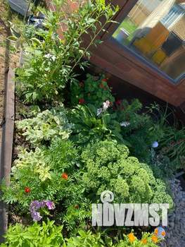 Дом 25м², 1-этажный, посуточно, 