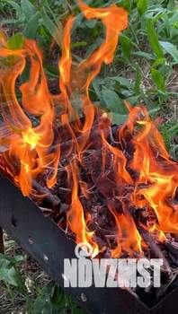 Дом 48м², 1-этажный, посуточно, 