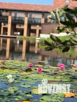 Дом 80м&sup2;, 1-этажный, посуточно, 