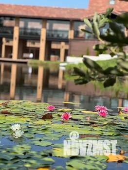 Дом 80м², 1-этажный, посуточно, 