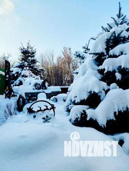 Дом 25м&sup2;, 1-этажный, посуточно, 