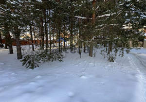 Дом 290м&sup2;, 2-этажный, на длительный срок, 