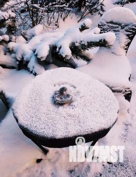 Дом 25м&sup2;, 1-этажный, посуточно, 