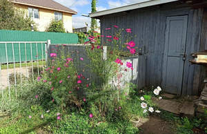 Дом 57м&sup2;, 1-этажный, участок 3 сот.  