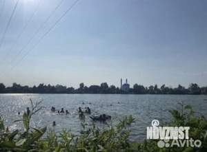 Дом 78м&sup2;, 1-этажный, участок 4 сот.  