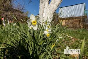 Дом 45м&sup2;, 2-этажный, участок 5 сот.  