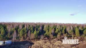 Коттедж 228м², 2-этажный, участок 5 сот.  