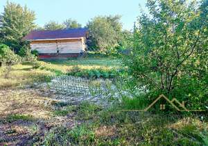 Дом 36м&sup2;, 1-этажный, участок 4 сот.  