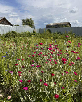 Дом 30м&sup2;, 2-этажный, участок 5 сот.  