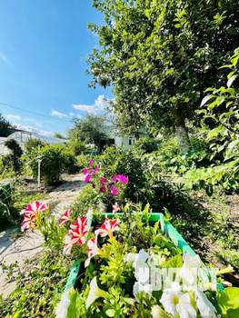 Дом 41м², 2-этажный, участок 6 сот.  