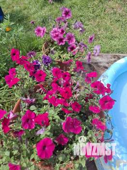 Дом 54м&sup2;, 2-этажный, участок 4 сот.  