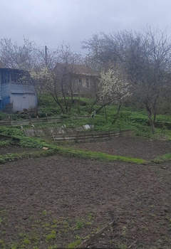 Дом 29м², 1-этажный, участок 7 сот.  
