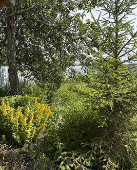 Дом 30м&sup2;, 2-этажный, участок 5 сот.  