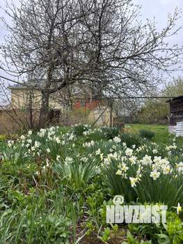 Дом 85м², 1-этажный, участок 10 сот.  