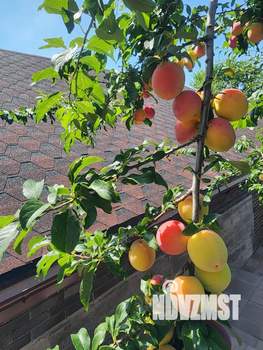 Дача 71м&sup2;, 2-этажный, участок 5 сот.  