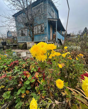 Дача 29м², 2-этажный, участок 4 сот.  