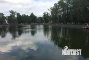 Дом 117м&sup2;, 1-этажный, участок 9 сот.  