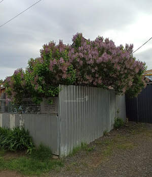 Дом 57м&sup2;, 1-этажный, участок 3 сот.  