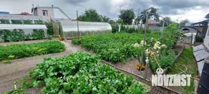 Дом 71м², 1-этажный, участок 6 сот.  