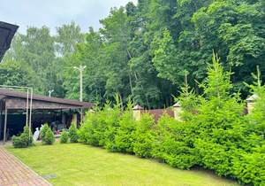 Дом 291м², 1-этажный, участок 7 сот.  