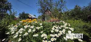 Дача 16м², 2-этажный, участок 7 сот.  