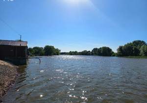 Дом 20м&sup2;, 1-этажный, участок 4 сот.  