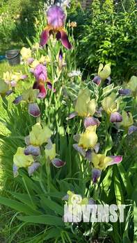 Дом 100м&sup2;, 1-этажный, участок 5 сот.  