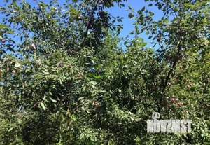 Дом 117м&sup2;, 1-этажный, участок 9 сот.  