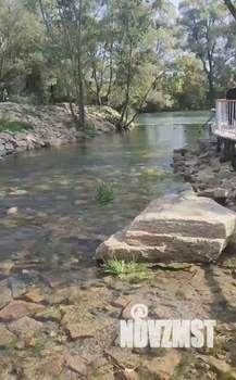 Дача 60м&sup2;, 2-этажный, участок 4 сот.  