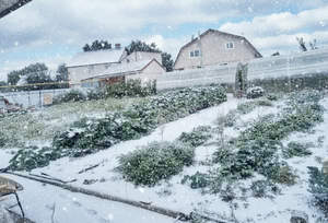 Дом 58м&sup2;, 1-этажный, участок 10 сот.  