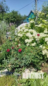 Дом 45м&sup2;, 2-этажный, участок 4 сот.  